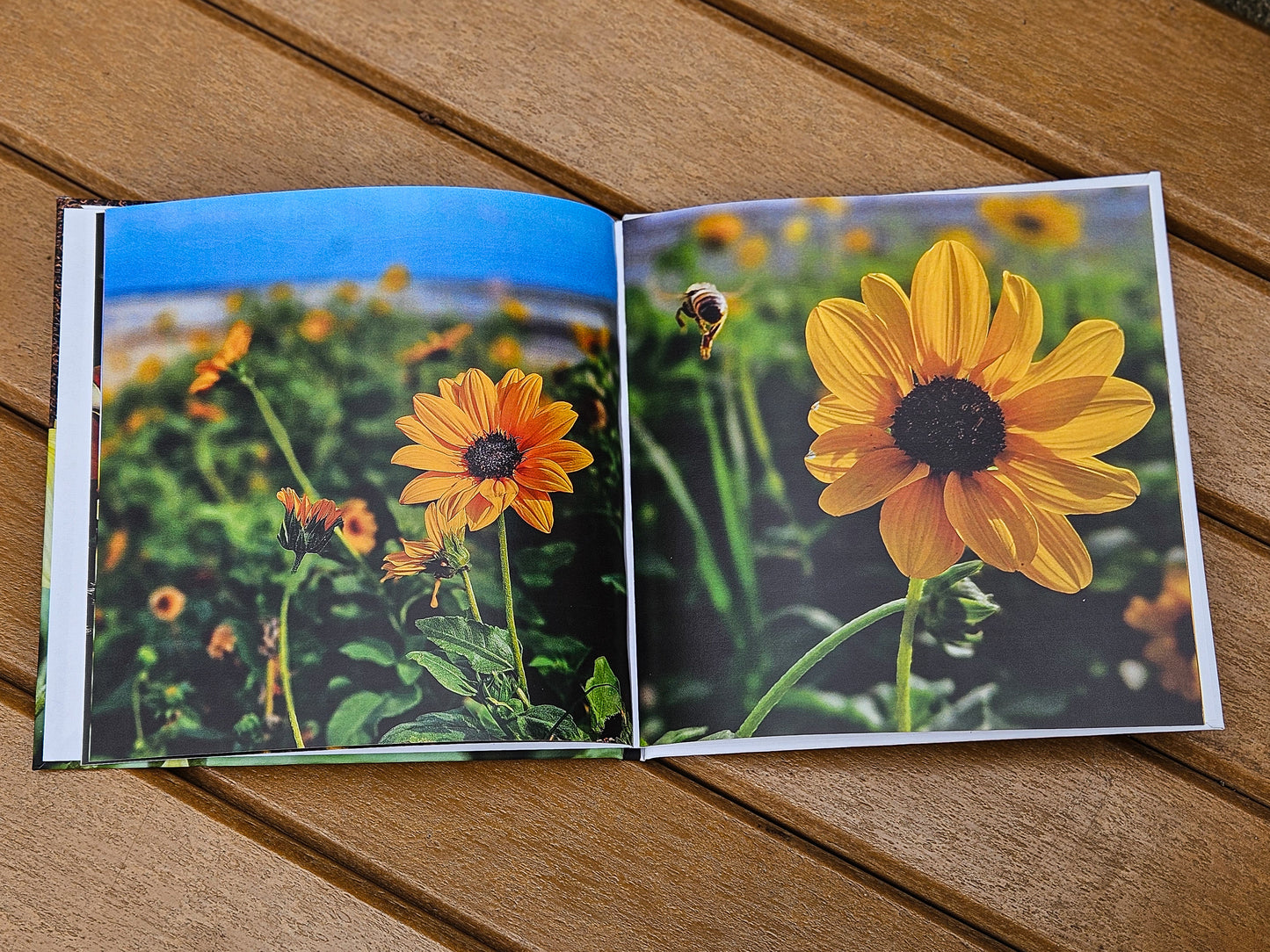 Dreaming Outloud - Vol. 1 - Sunflower Portrait Book