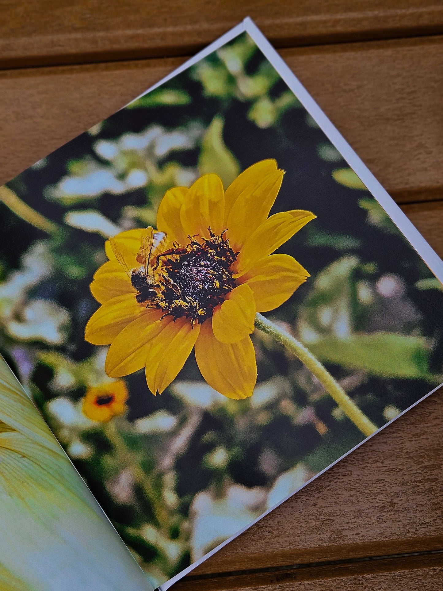 Dreaming Outloud - Vol. 1 - Sunflower Portrait Book
