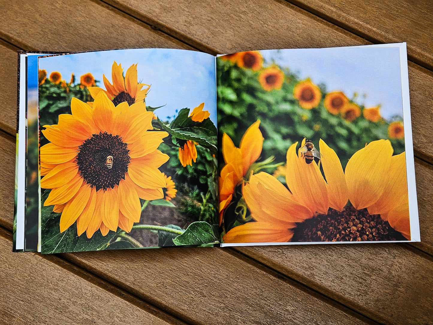 Dreaming Outloud - Vol. 1 - Sunflower Portrait Book